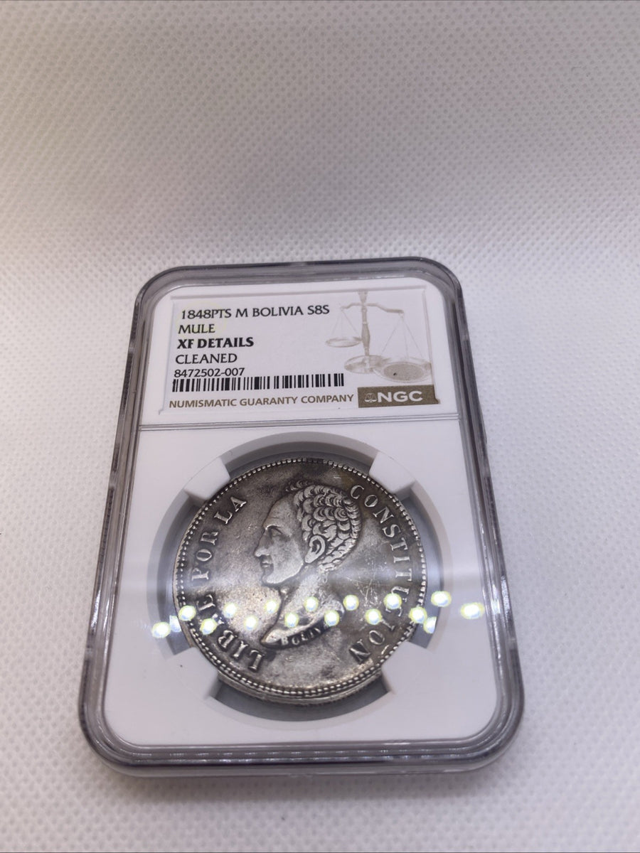 1848 PTS M Potosi Mint Bolivia 8 Soles Silver NGC XF Det Cleaned Silver Coin