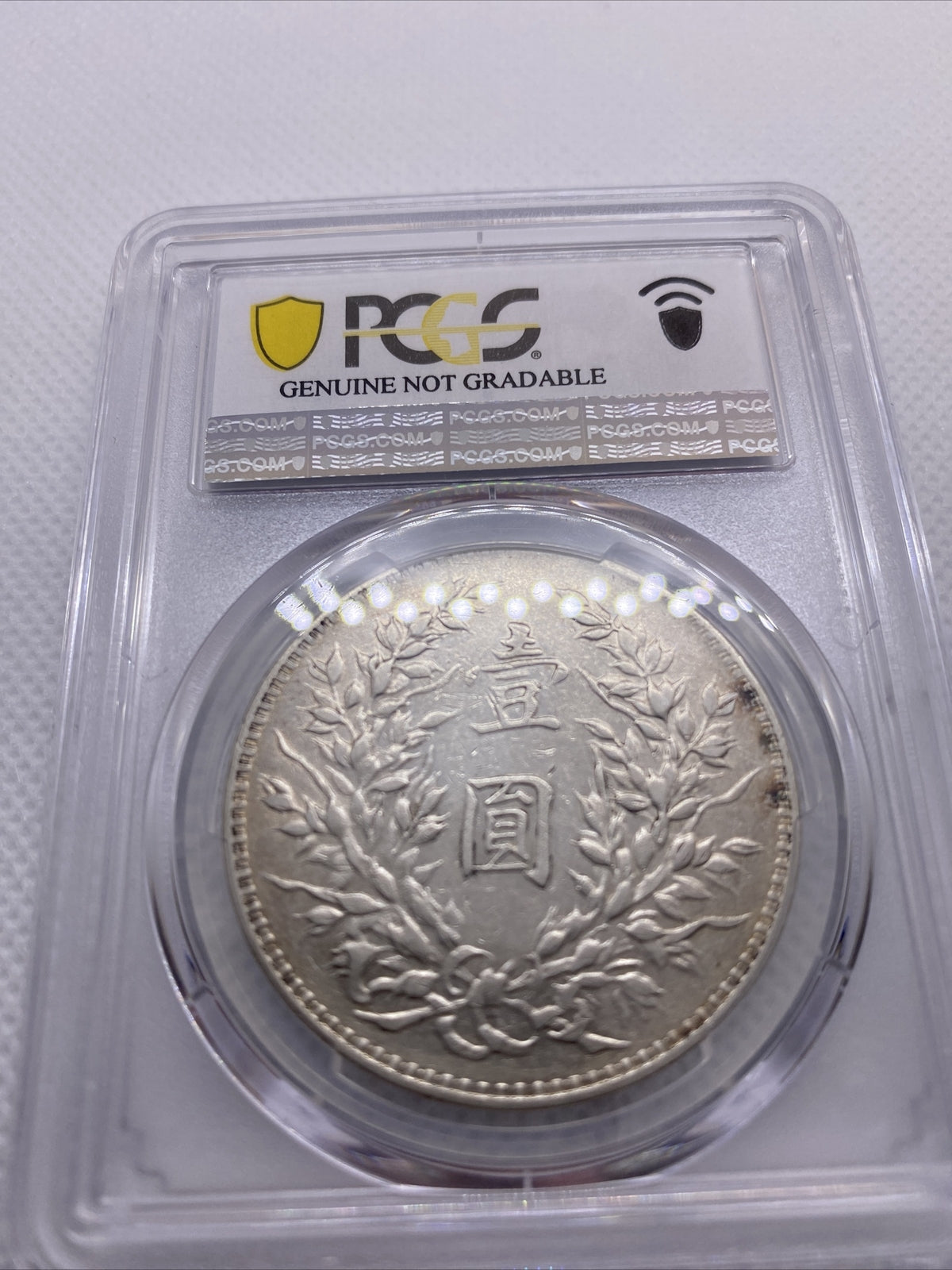 1920 Yr9 China Silver Fat Man Dollar (Yuan) L&M-77 PCGS XF Details Silver #7970