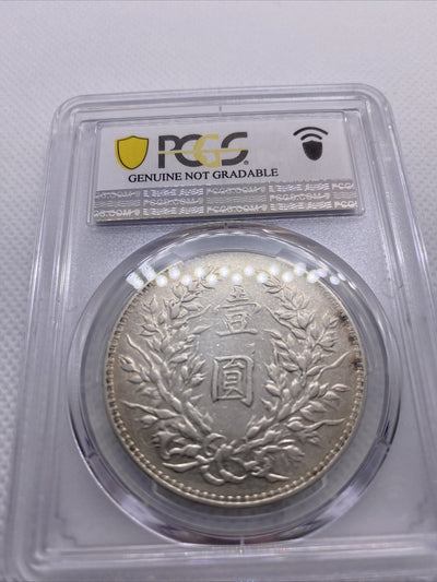 1920 Yr9 China Silver Fat Man Dollar (Yuan) L&M-77 PCGS XF Details Silver #7970