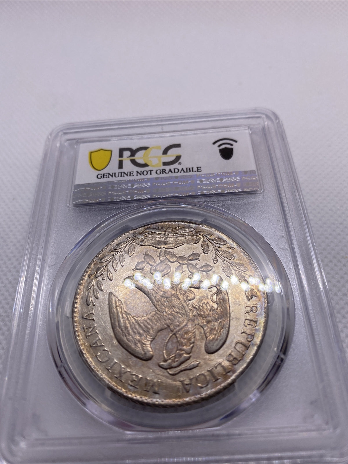 1882 MO MH 8 Reales Mexico Eagle Silver PCGS AU Details Beauty Toning RARE #7966