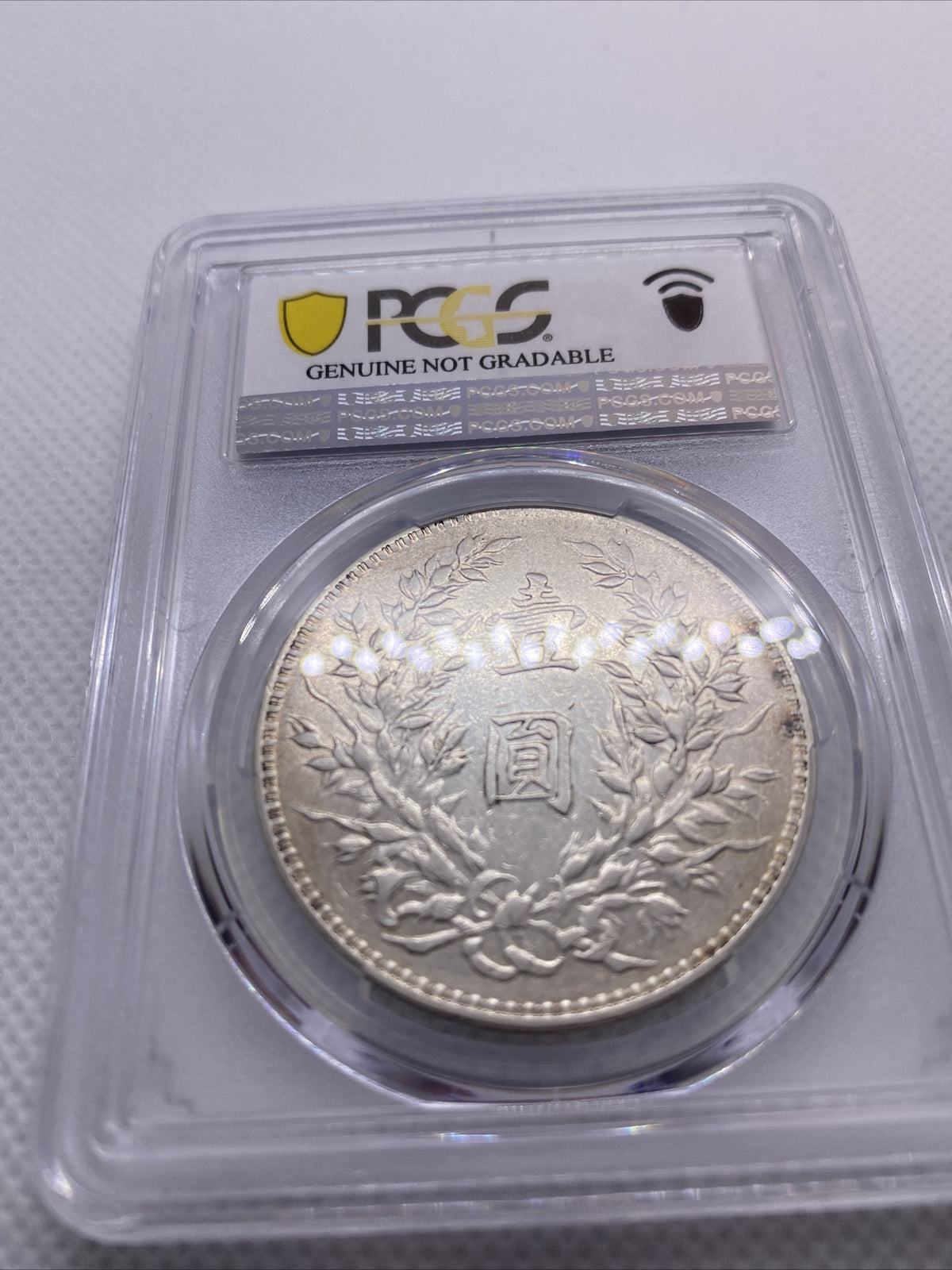 1920 Yr9 China Silver Fat Man Dollar (Yuan) L&M-77 PCGS XF Details Silver #7970