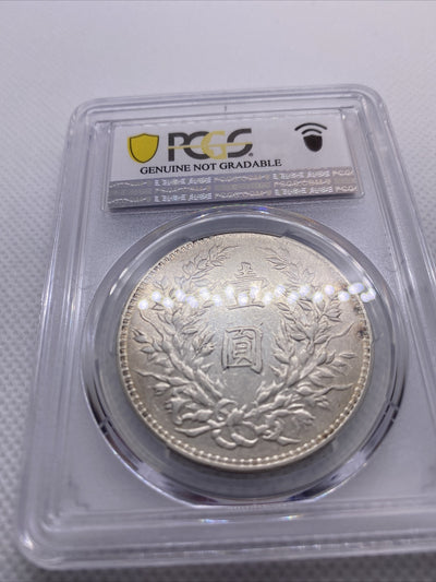 1920 Yr9 China Silver Fat Man Dollar (Yuan) L&M-77 PCGS XF Details Silver #7970