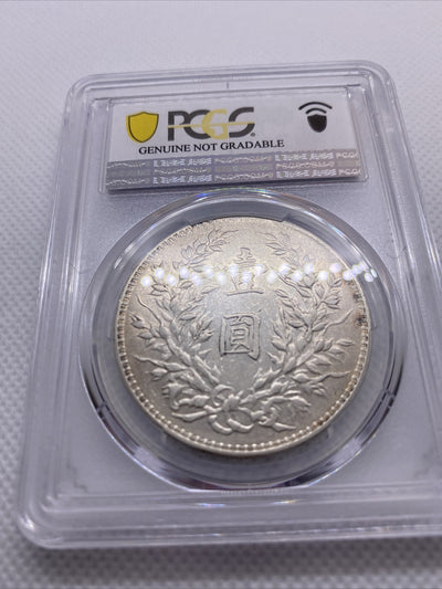 1920 Yr9 China Silver Fat Man Dollar (Yuan) L&M-77 PCGS XF Details Silver #7970