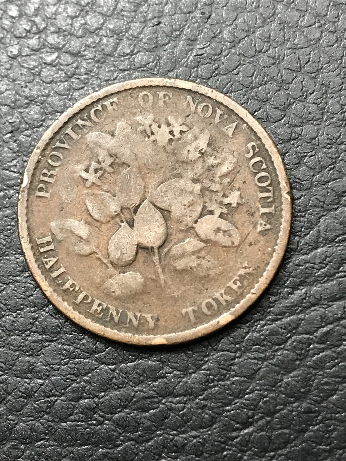 1856 NOVA SCOTIA  HALF PENNY TOKEN #1856-369