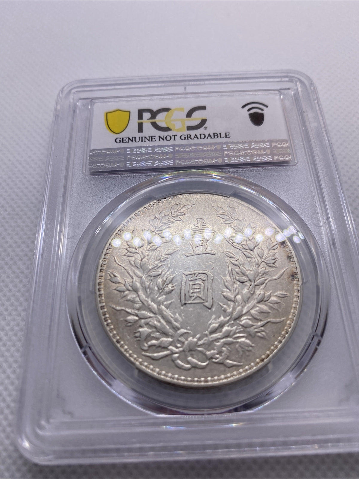 1920 Yr9 China Silver Fat Man Dollar (Yuan) L&M-77 PCGS XF Details Silver #7970