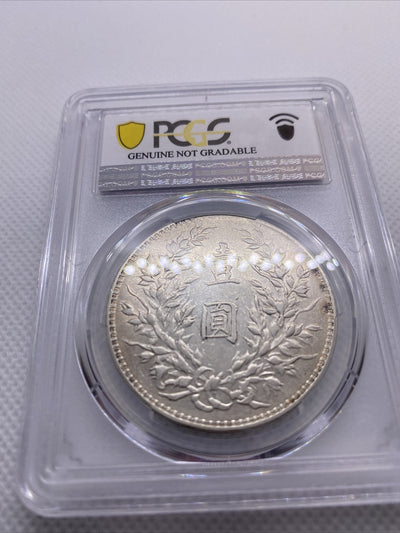 1920 Yr9 China Silver Fat Man Dollar (Yuan) L&M-77 PCGS XF Details Silver #7970