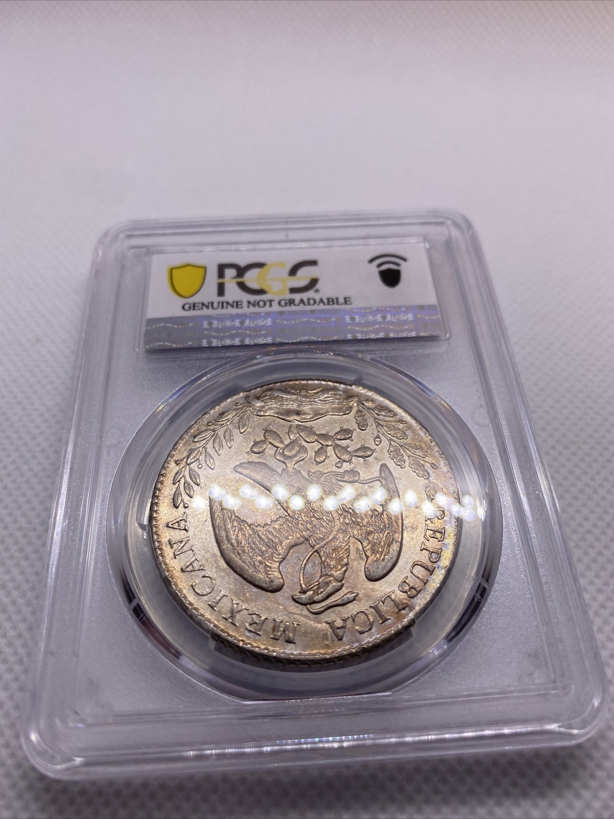 1882 MO MH 8 Reales Mexico Eagle Silver PCGS AU Details Beauty Toning RARE #7966