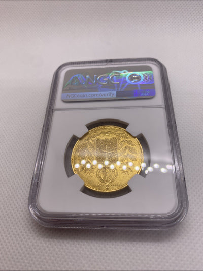1851 Brazil 20000 Reis Large Bust NGC AU Det. Rio de Janeiro RARE