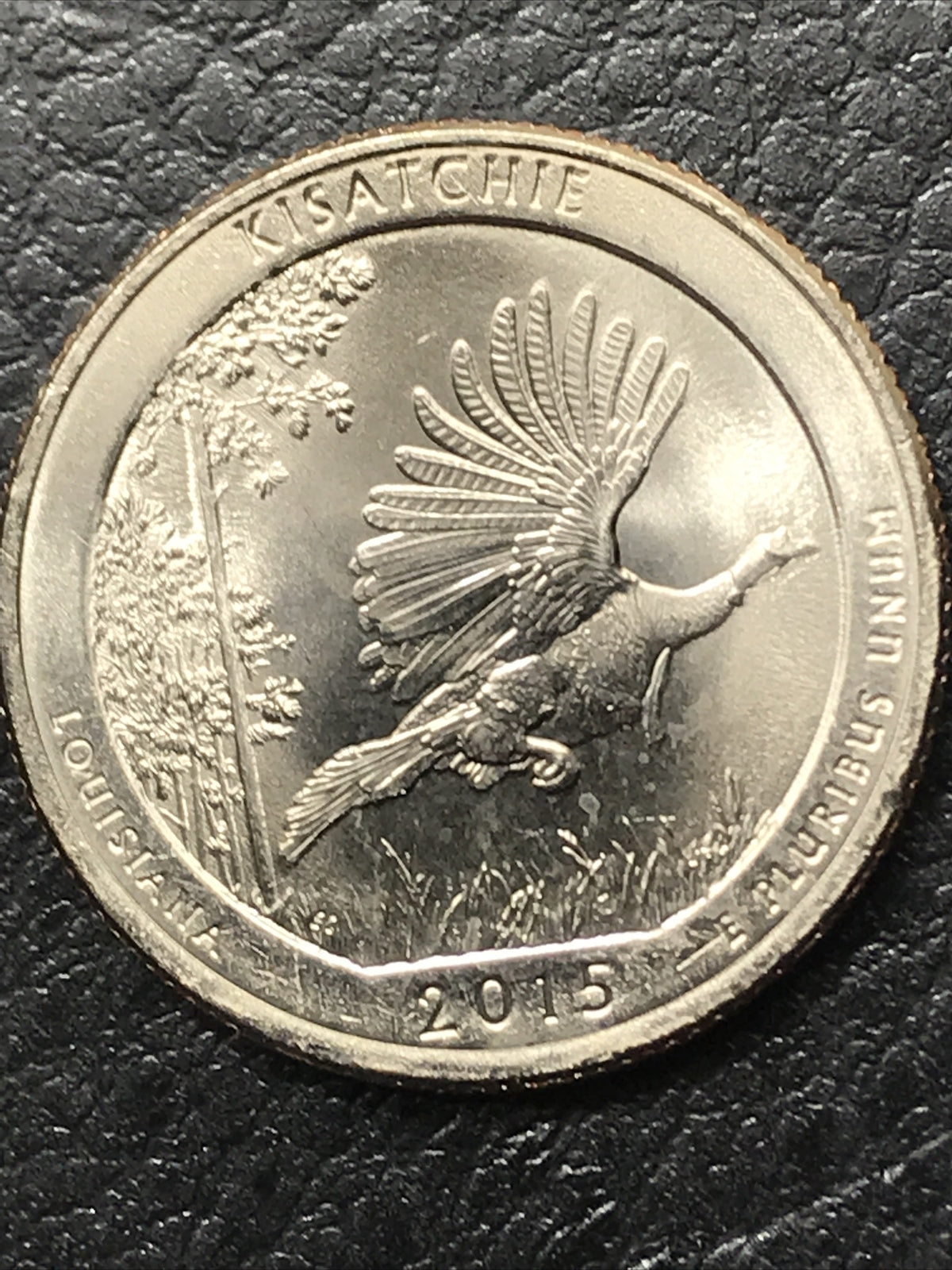 2015 P Kisatchie National Forest Double Die Obverse DDO Error UNC Quarter