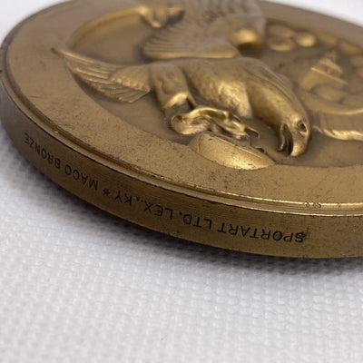 Philadelphia Eagles National Football League NFL Bronze Medallion Sport Art