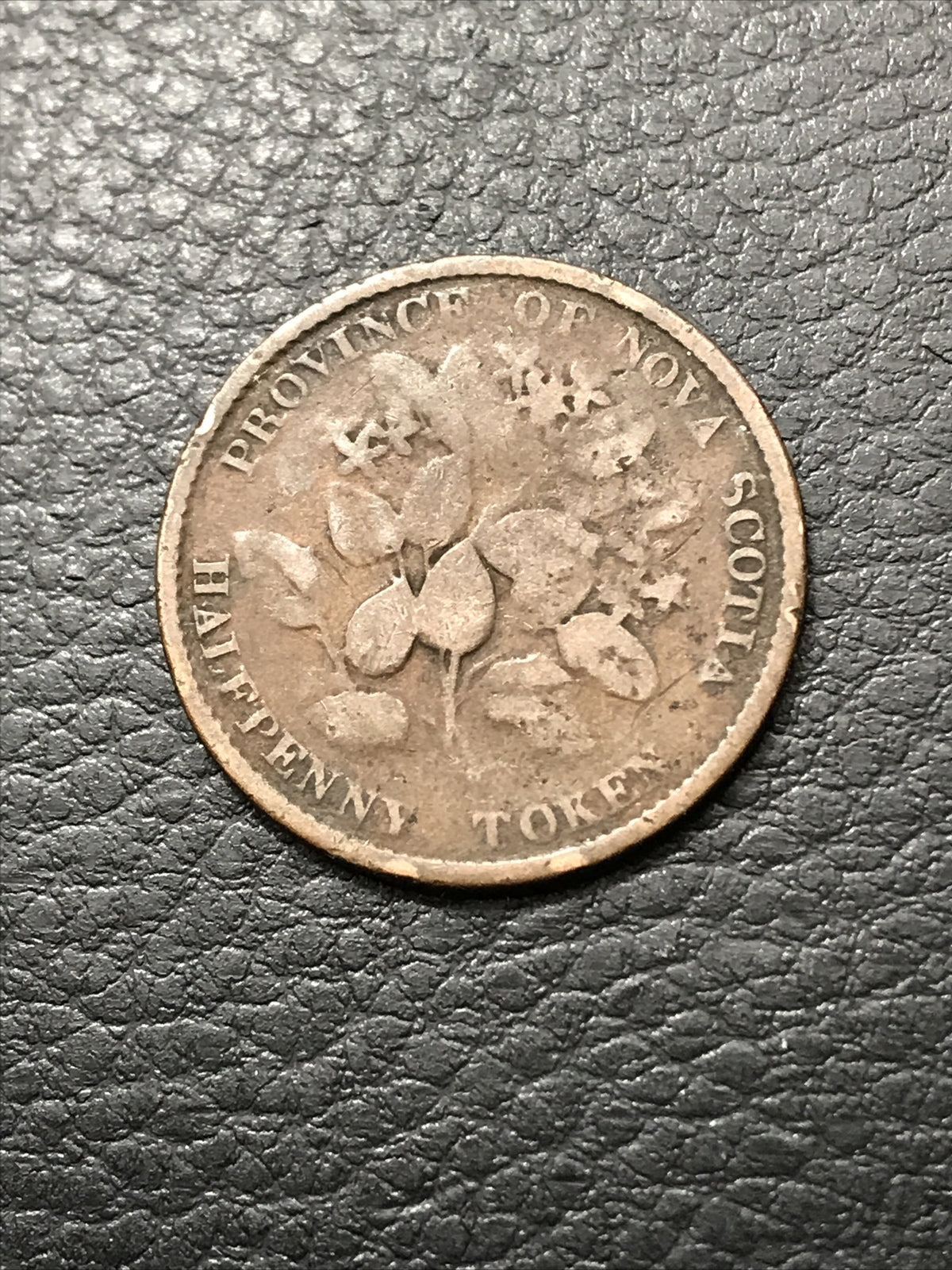 1856 NOVA SCOTIA  HALF PENNY TOKEN #1856-369