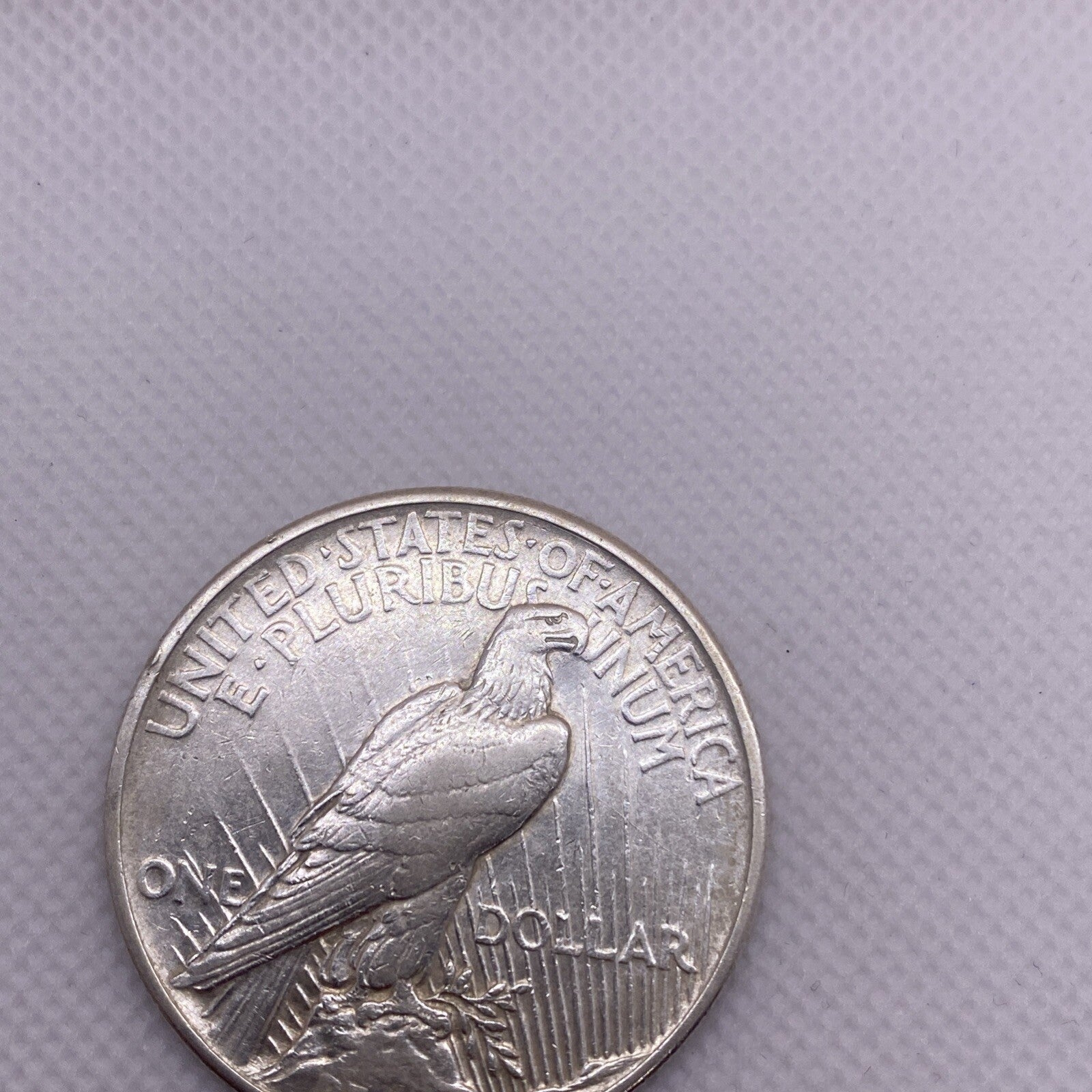 1921 Peace Silver Dollar $1 US Silver Peace Dollar Key Date Beauty RARE #8564-10