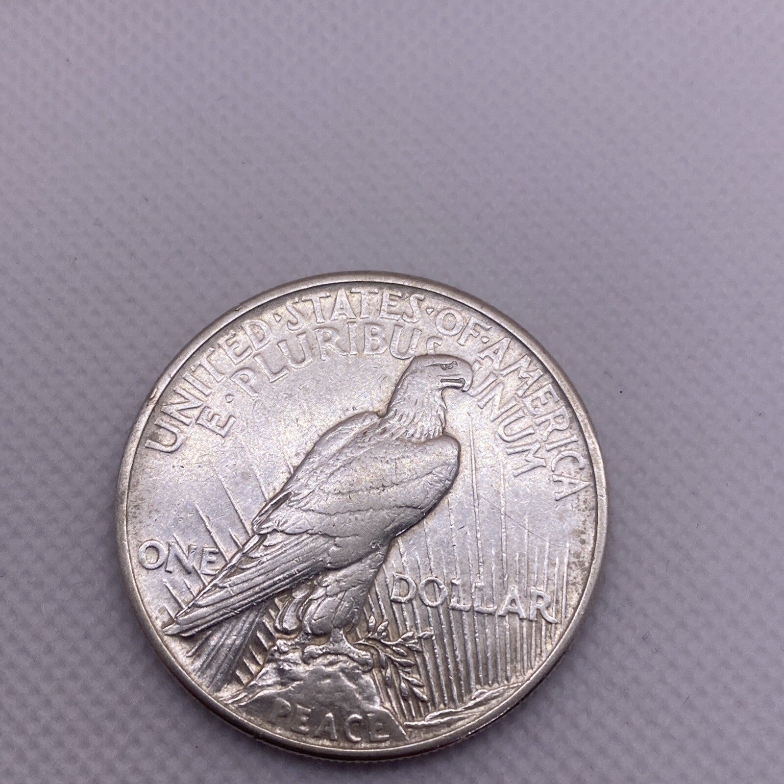 1921 Peace Silver Dollar $1 US Silver Peace Dollar Key Date Beauty RARE #8564-10