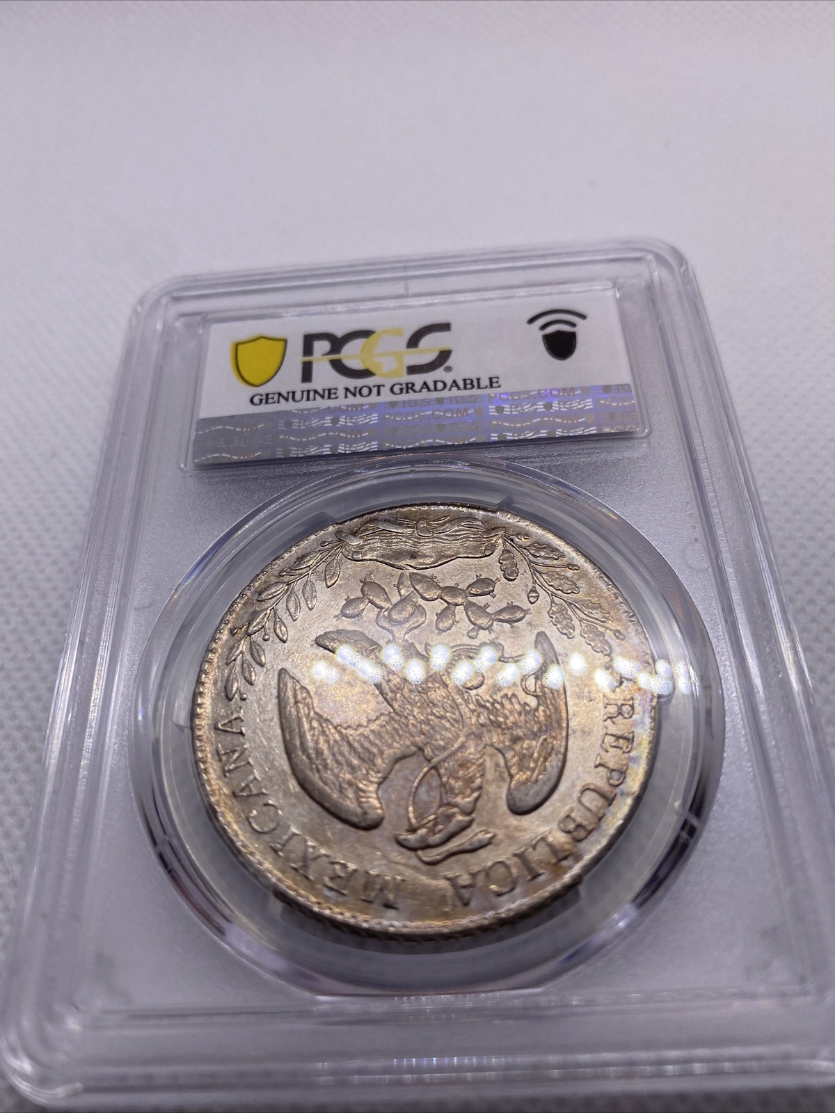 1882 MO MH 8 Reales Mexico Eagle Silver PCGS AU Details Beauty Toning RARE #7966