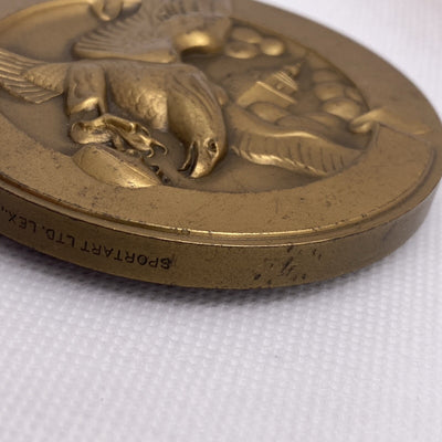 Philadelphia Eagles National Football League NFL Bronze Medallion Sport Art