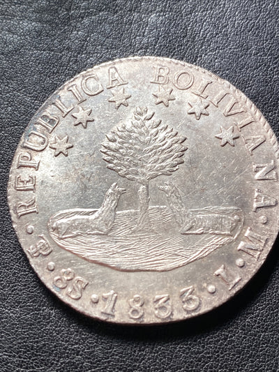 1833 PTS LM S8S BOLIVIA 8 SOLES SILVER DETAILS SEE DESCRIPT. PRICED TO SELL X598