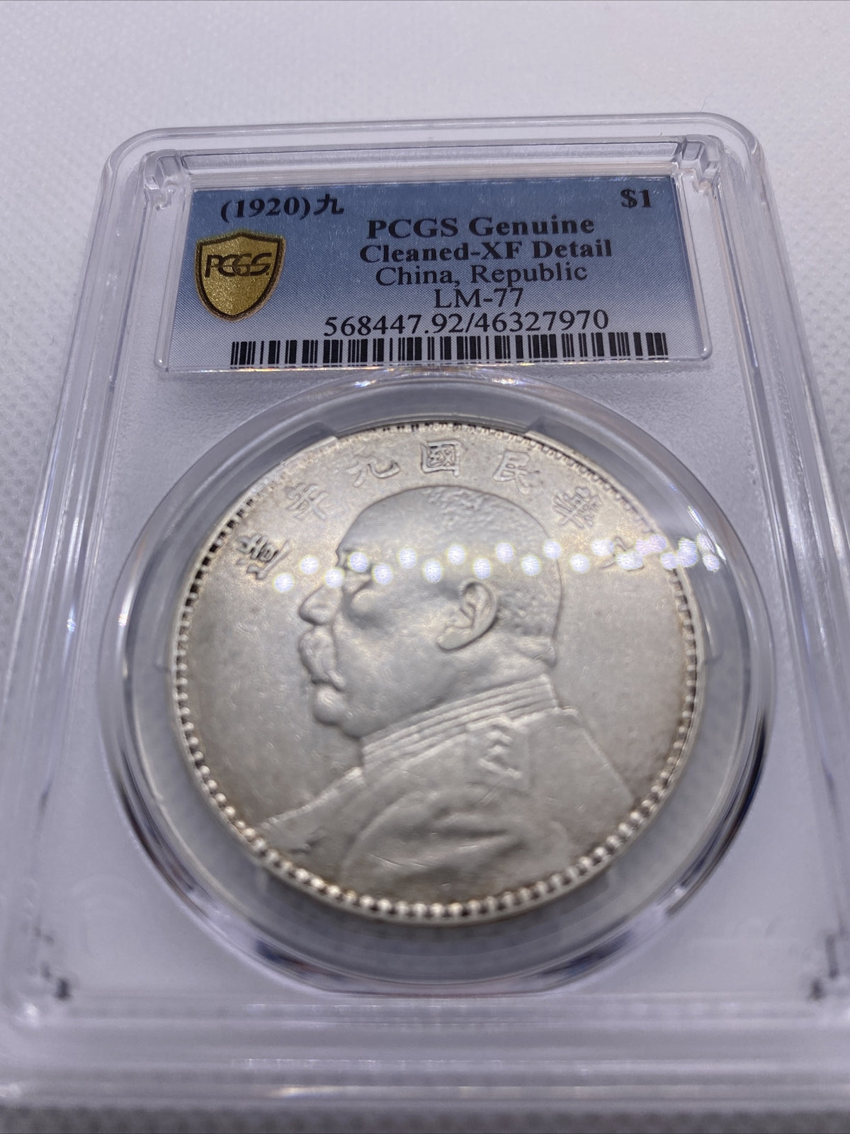 1920 Yr9 China Silver Fat Man Dollar (Yuan) L&M-77 PCGS XF Details Silver #7970