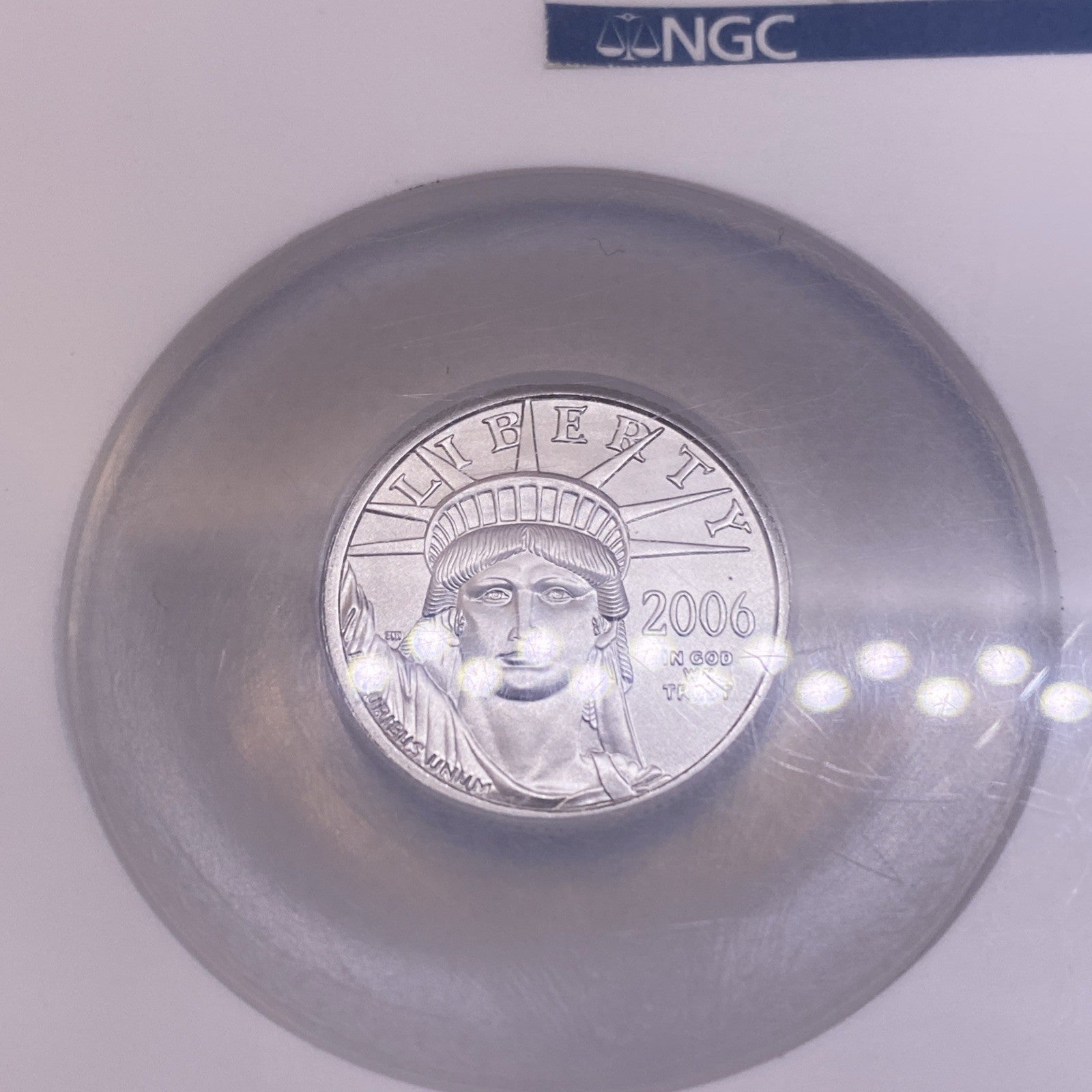 2006 Platinum Eagles, NGC MS 69 Early Releases 2 Coins Set 1/4 & 1/2  Unique Set