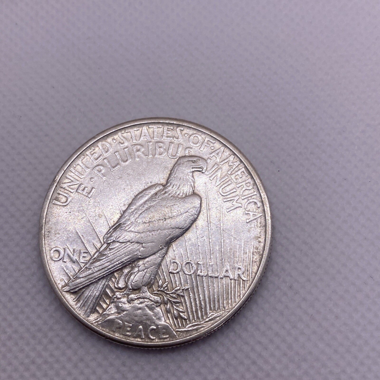 1921 Peace Silver Dollar $1 US Silver Peace Dollar Key Date Beauty RARE #8564-10