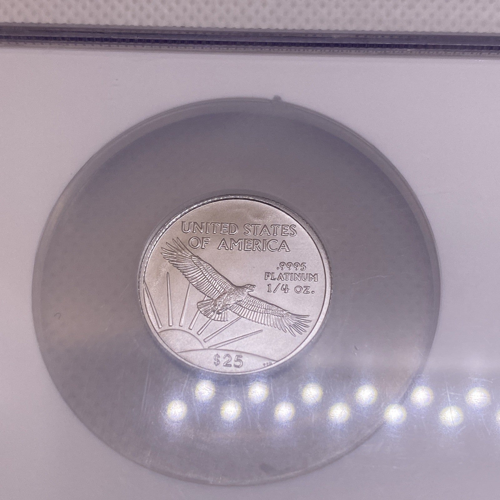 2006 Platinum Eagles, NGC MS 69 Early Releases 2 Coins Set 1/4 & 1/2  Unique Set
