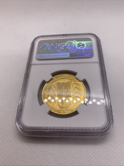 1851 Brazil 20000 Reis Large Bust NGC AU Det. Rio de Janeiro RARE