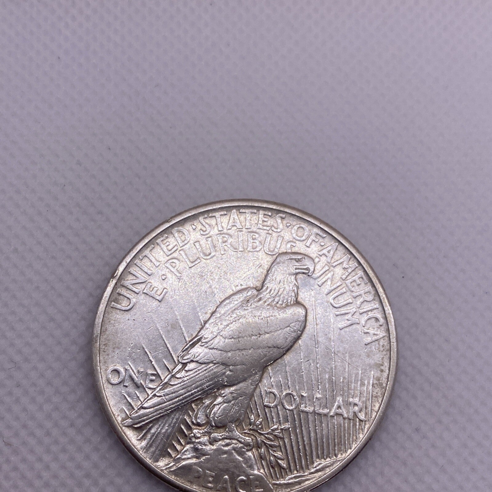 1921 Peace Silver Dollar $1 US Silver Peace Dollar Key Date Beauty RARE #8564-10