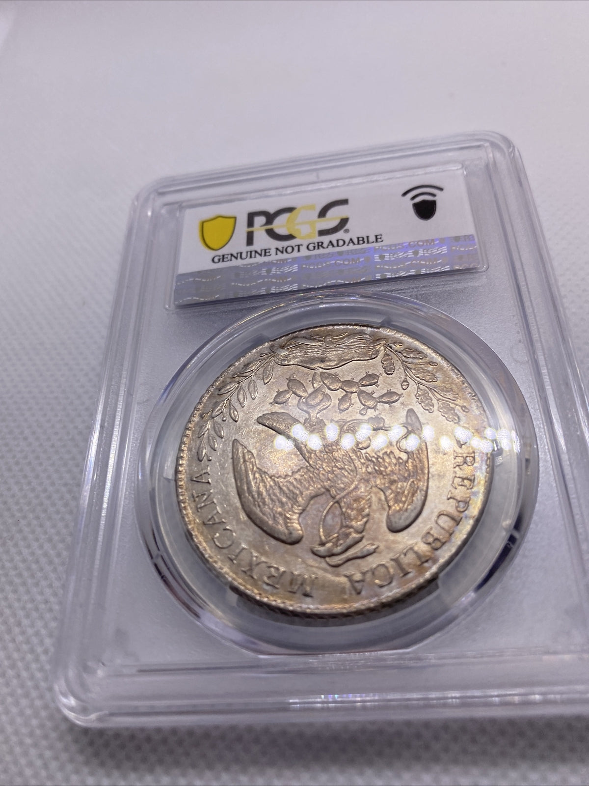 1882 MO MH 8 Reales Mexico Eagle Silver PCGS AU Details Beauty Toning RARE #7966