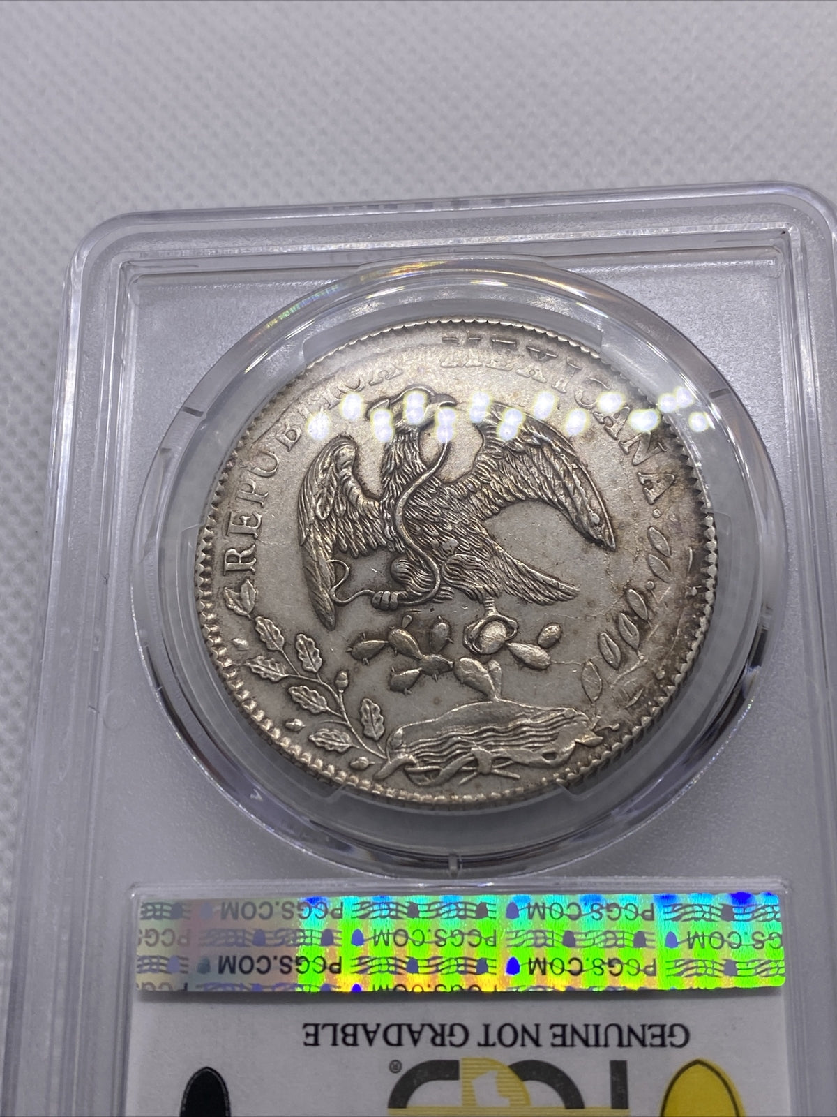 1884 Zs JS 8 Reales Zs69 PCGS AU Details 8R Mexico Silver Coin STRUCK THRU #7964
