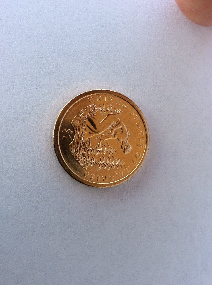 2009 Sacagawea Dollar Mint Error Weak Edge Lettering (2009) Dollar Coin #0009