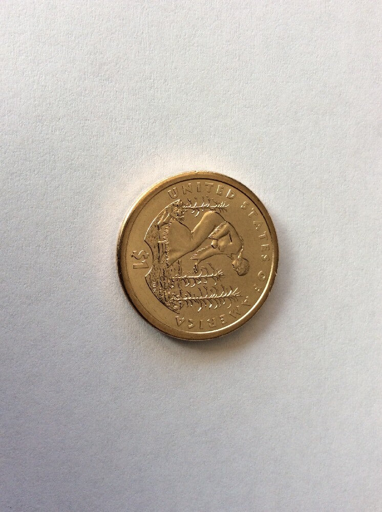 2009 Sacagawea Dollar Mint Error Weak Edge Lettering (2009) Dollar Coin #0005