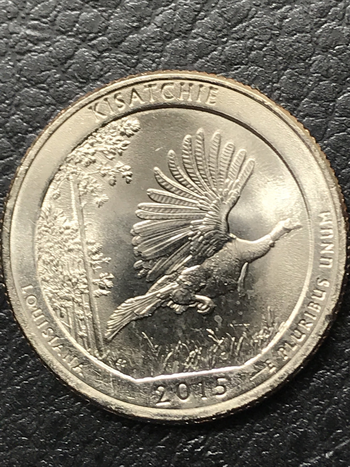 2015 P Kisatchie National Forest Double Die Obverse DDO Error UNC Quarter