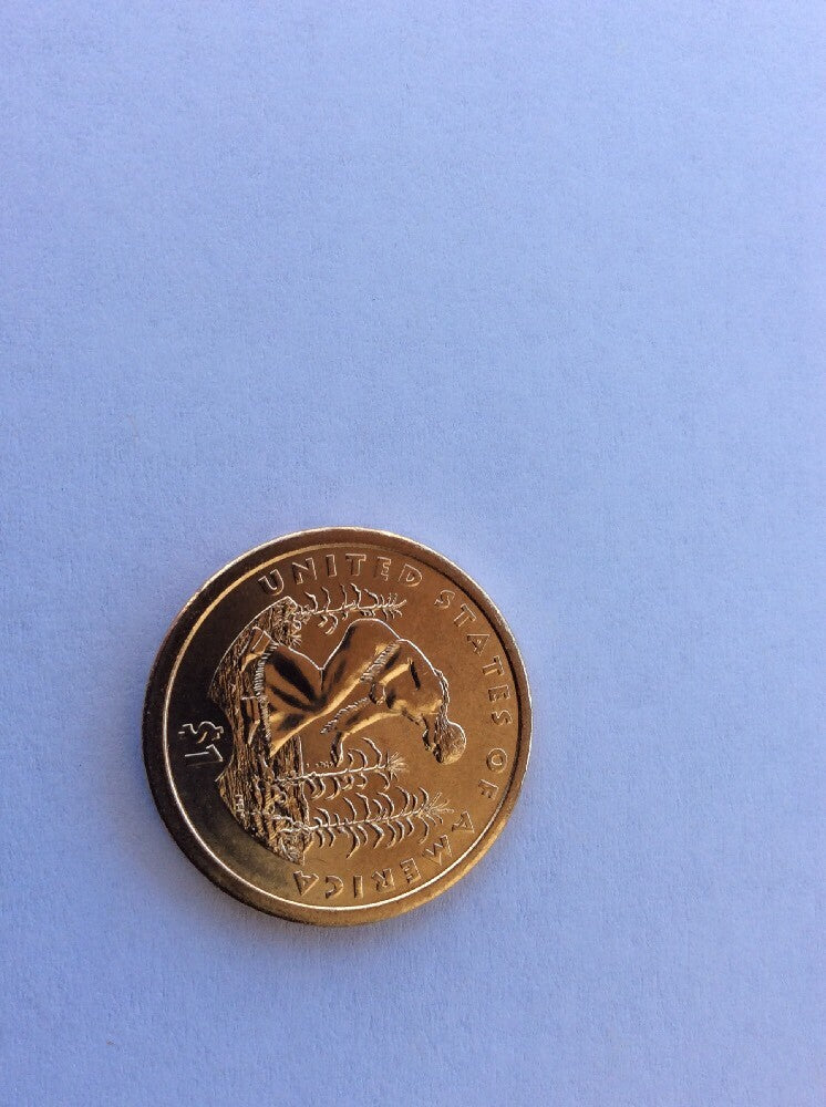 2009 Sacagawea Dollar Mint Error Weak Edge Lettering (2009) Dollar Coin #0009