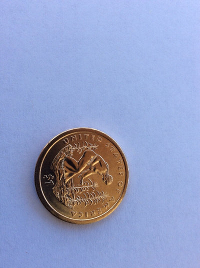2009 Sacagawea Dollar Mint Error Weak Edge Lettering (2009) Dollar Coin #0009