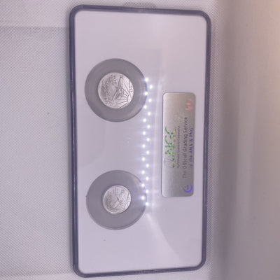 2006 Platinum Eagles, NGC MS 69 Early Releases 2 Coins Set 1/4 & 1/2  Unique Set