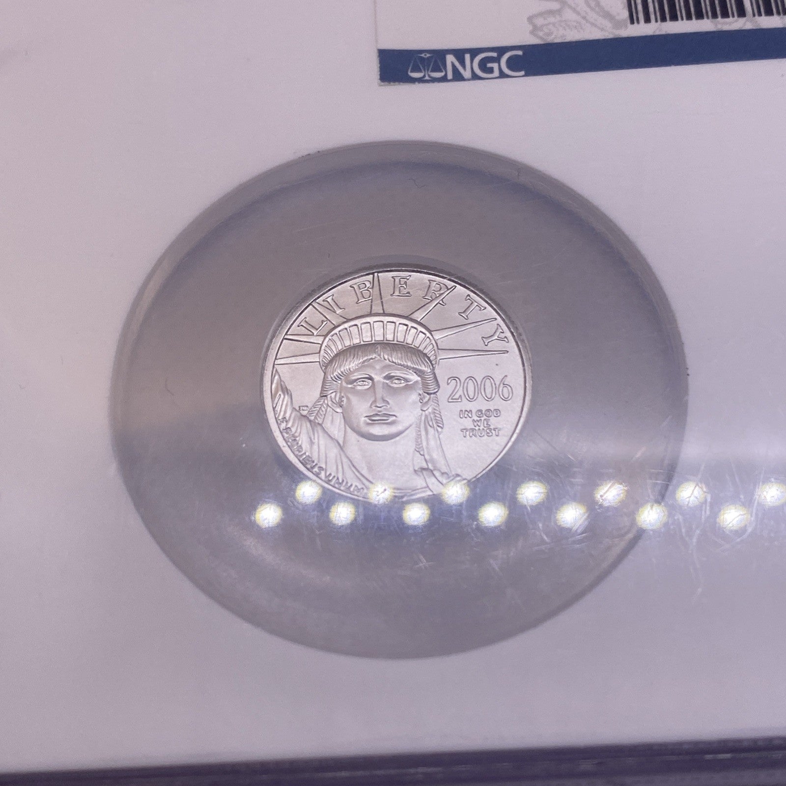 2006 Platinum Eagles, NGC MS 69 Early Releases 2 Coins Set 1/4 & 1/2  Unique Set