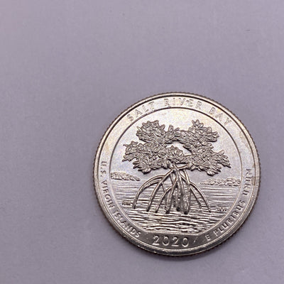 2020 W Salt River NP Quarter 25c Uncirculated Privy Mark V75 Struck Thru ERROR