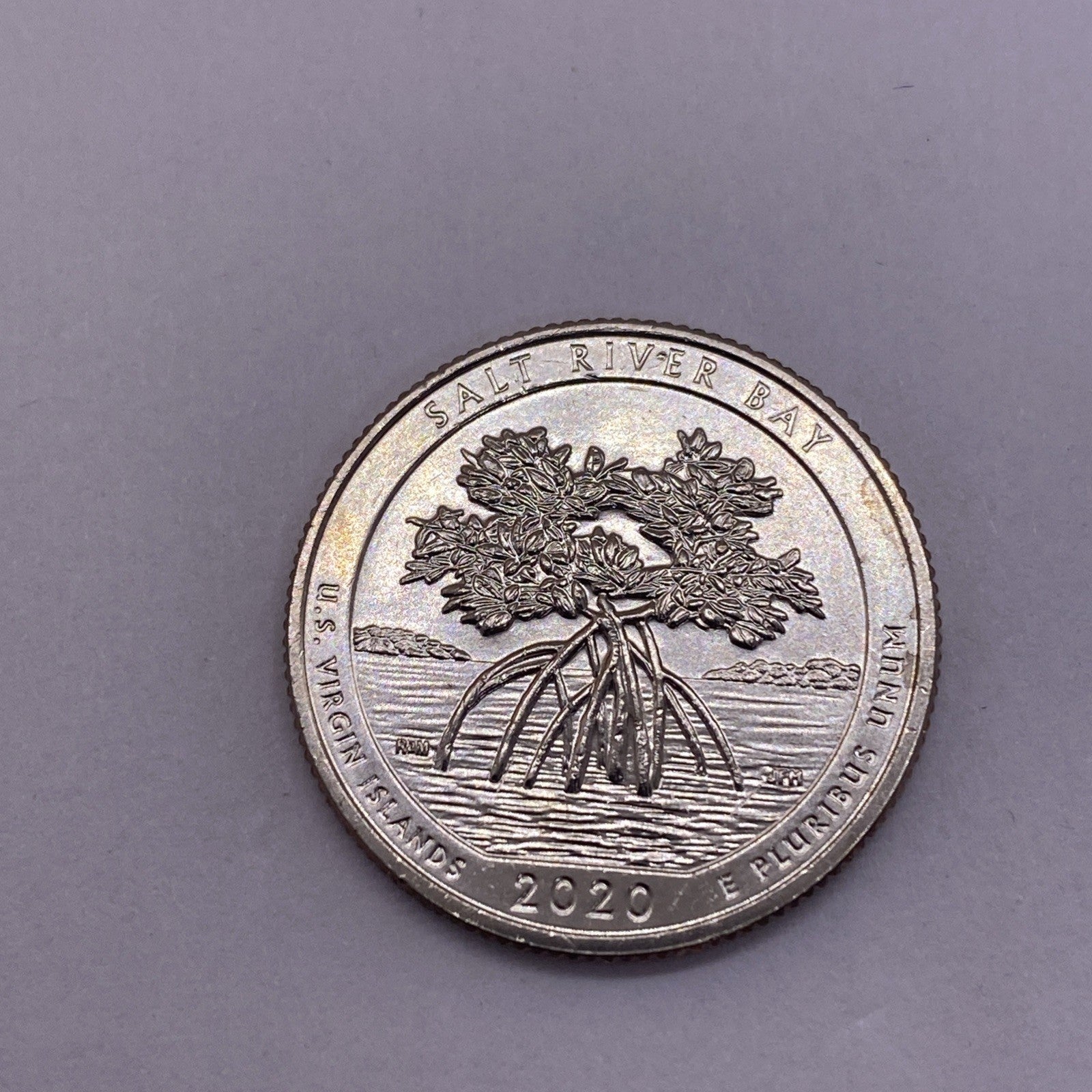 2020 W Salt River NP Quarter 25c Uncirculated Privy Mark V75 Struck Thru ERROR